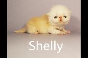 Shelly 24th April 2022