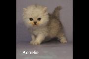 Annelie 01 July 2022