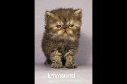 Emmanuel 01 July 2022